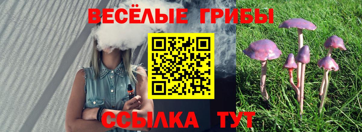 Галлюциногенные грибы MAGIC MUSHROOMS  как найти закладки  Абинск  Вход с VPN  Галлюциногенные грибы Psilocybe 